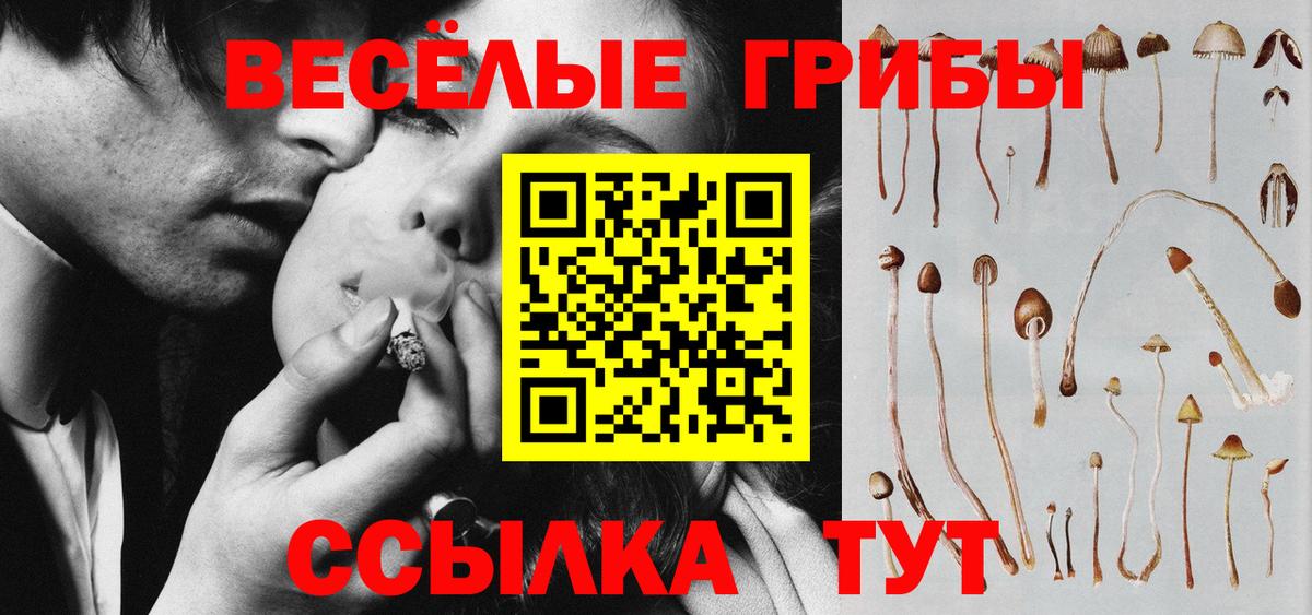 Псилоцибиновые грибы мицелий Обнинск